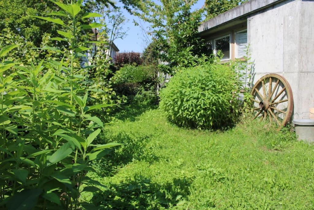 Erholung Mit Seesicht, Terrasse Und Garten Uberlingen Zewnętrze zdjęcie